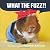 What the Fuzz?!: The Adventures of Fuzzberta and Friends