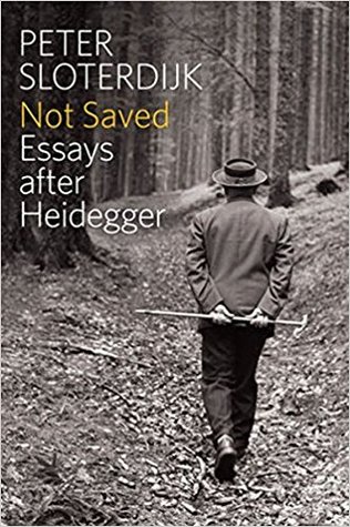 Not Saved: Essays After Heidegger (ebook)