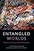 Entangled Worlds: Religion, Science, and New Materialisms (Transdisciplinary Theological Colloquia)