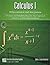 Calculus 1 - Differentiation and Integration by Dan  Hamilton