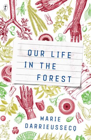 Our Life in the Forest (Paperback)