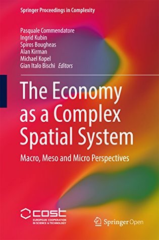 The Economy as a Complex Spatial System: Macro, Meso and Micro Perspectives (Kindle Edition)