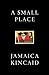 A Small Place by Jamaica Kincaid