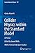 Collider Physics within the...