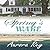 Spring's Wake (Cape End Romance, #3)
