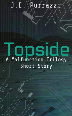 Topside: A Malfunction Trilogy Short Story