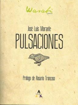 Pulsaciones