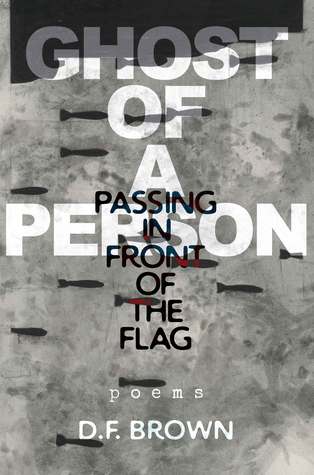 Ghost of a Person Passing in Front of the Flag: Poems