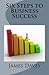 Six Steps to Business Succe...