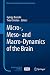 Micro-, Meso- and Macro-Dynamics of the Brain (Research and Perspectives in Neurosciences)