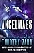 Angelmass by Timothy Zahn