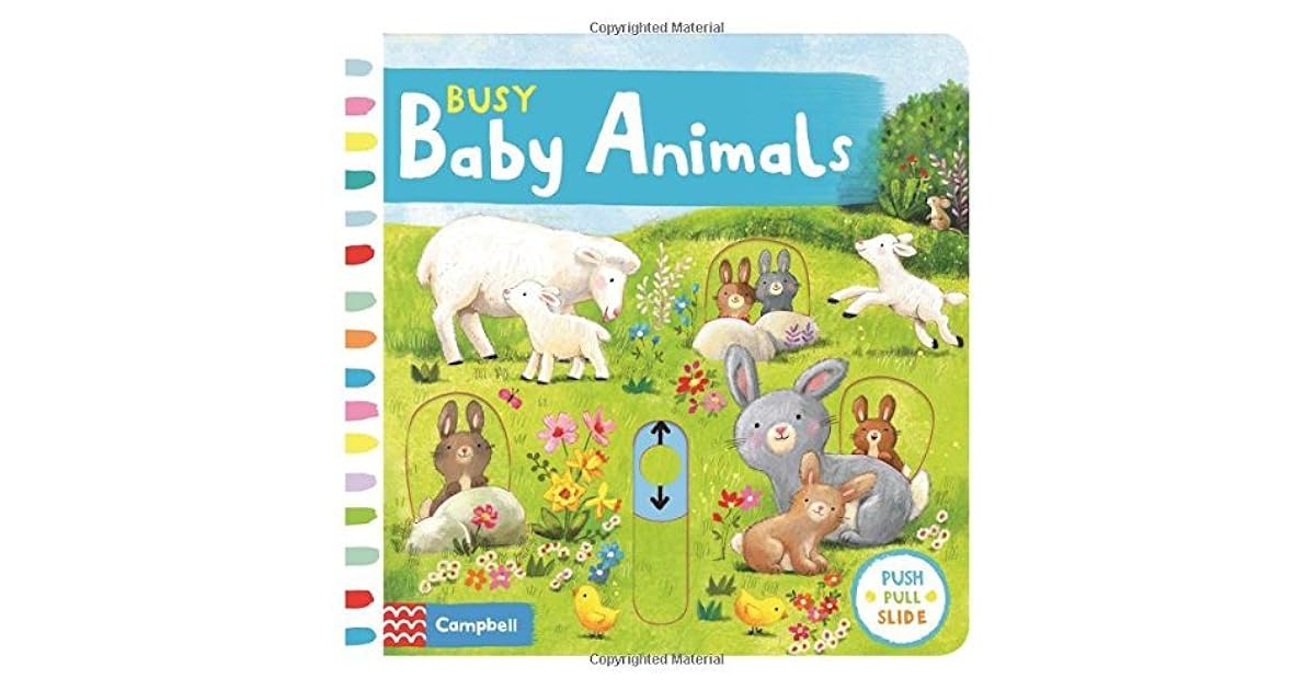 Busy Baby Animals (Busy Books) by Ag Jatkowska