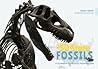 The 50 State Fossils by Yinan Wang