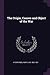The Origin, Causes and Object of the War