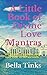 A Little Book of Divine Love Mantra's by Bella Tinks