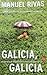 Galicia, Galicia (Edicion Literaria)