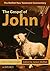 The Gospel of John