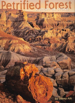 Petrified Forest: A Story in Stone