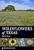 Wildflowers of Texas by Michael Eason