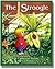 The Stroogle (Stroogle #1)