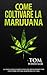 Come coltivare la Marijuana...
