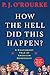 How the Hell Did This Happen?: A Cautionary Tale of American Democracy