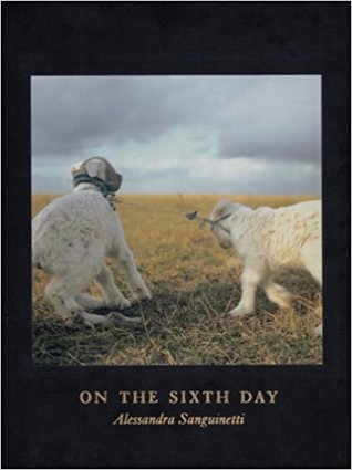 On the Sixth Day (Hardcover)