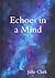 Echoes in a Mind