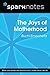The Joys of Motherhood (Spa...