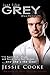 Just like Grey: Billionaire Romance Boxset