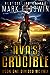 Divided We Fall by Mark Goodwin