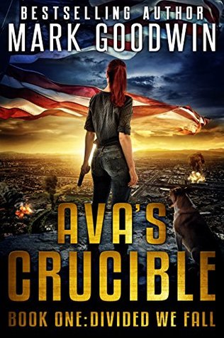 Divided We Fall (Ava's Crucible #1)
