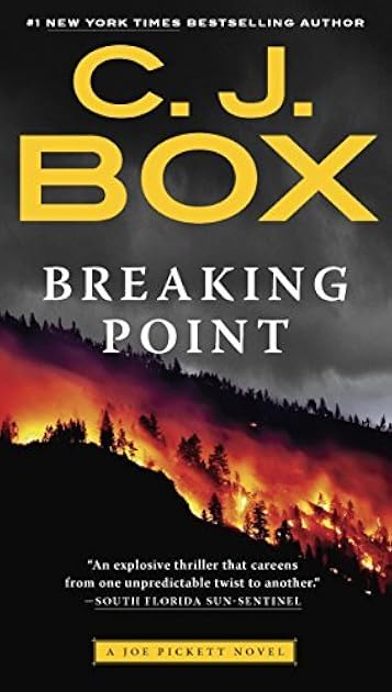 Breaking Point (Joe Pickett, #13)