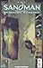 The Sandman #7:  Sound and ...