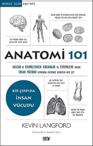 Anatomi 101: Kaslar ve Kemiklerden Organlar ve Sistemlere kadar İnsan Vücudu Hakkında Bilmeniz Gereken Her Şey