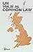 Un Viaje al Common Law (Spanish Edition)