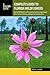 Complete Guide to Florida Wildflowers by Roger L. Hammer