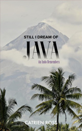 Still I Dream of Java