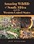 Amazing Wildlife of South Africa and the Western United States by Jeff Williams