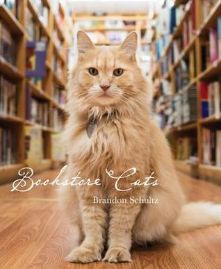 Bookstore Cats (Hardcover)