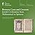 Between Cross and Crescent:...