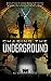 Chasing the Underground (The AIM Chronicles Book 2)