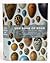Book of Eggs A life-size guide to the eggs of six hundred of the world's bird species /anglais