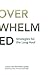 The Age of Overwhelm by Laura Van Dernoot Lipsky