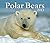 Polar Bears 2013