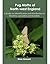 Pug Moths of North-West Eng...