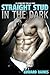 Straight Stud in the Dark: First Time Gay Erotica