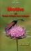 Moths of Great Britain & Ir...