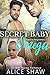 Secret Baby Omega (Road to ...
