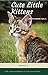 Cute Little Kitten Photo Book Vol.3: 100+ lovely moments of cute little kittens